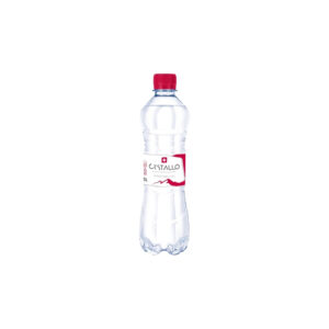 Mineralwasser mit Kohlensäure 0,5l